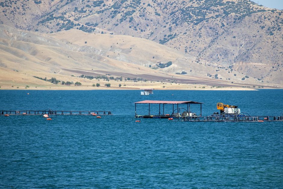 прямоугольные садки с теневыми навесами на пресноводном водоёме